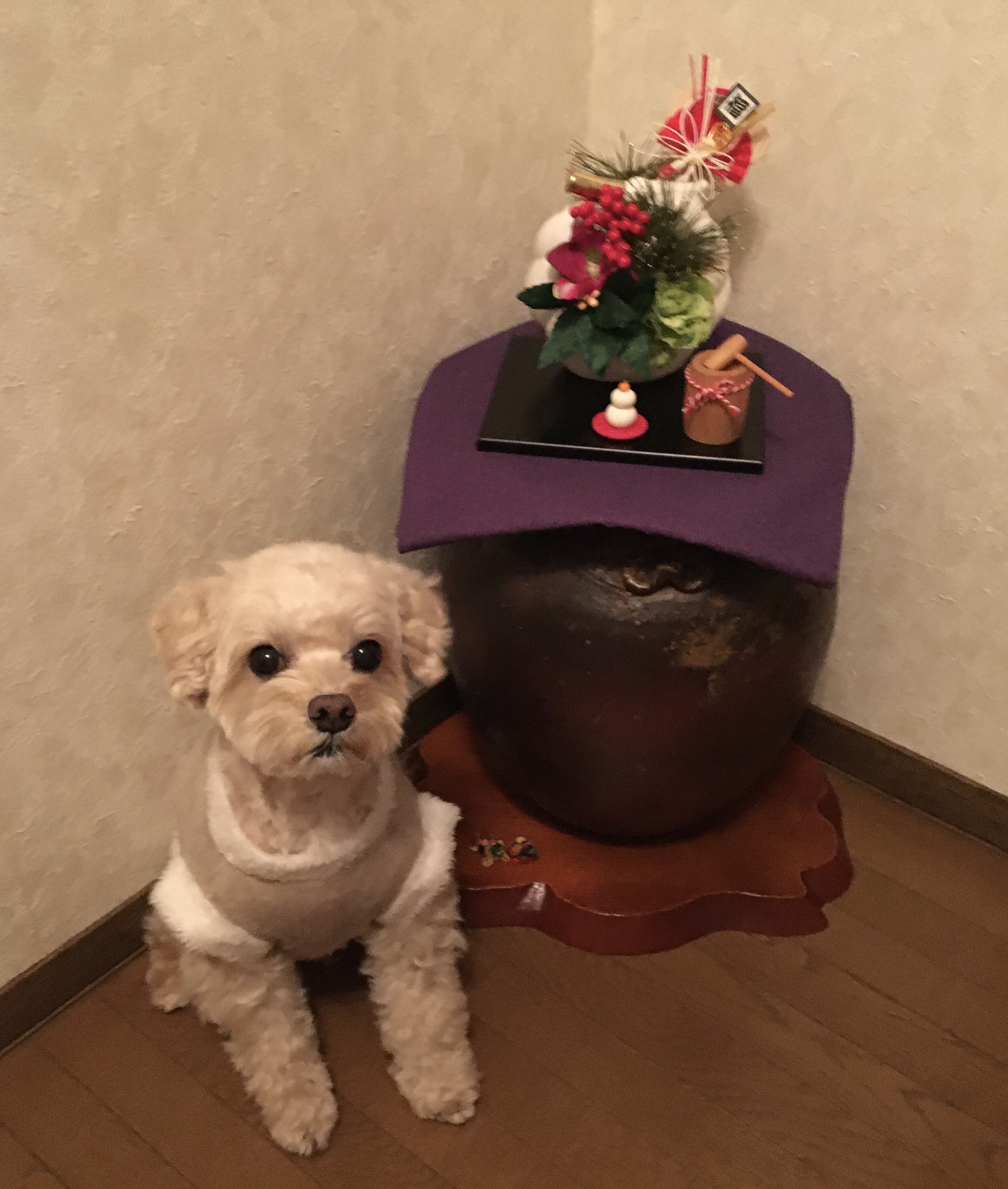 CB4BB335-659D-4E34-89FC-4CA868AB9EA6